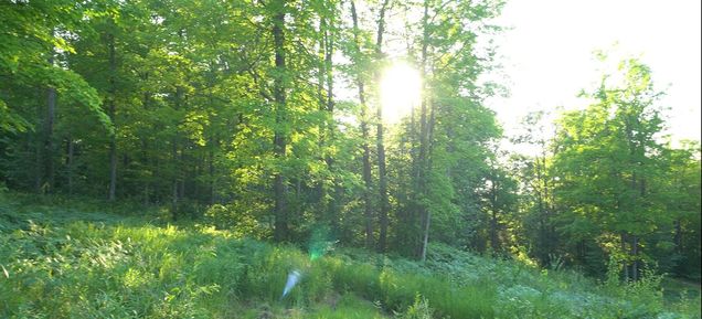 83xxx Lot 7 Ashwabay Road Bayfield, WI Plot of land Active - Photo 1 of 9. Opens carousel modal