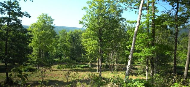 83xxx Lot 12 Ashwabay Road Bayfield, WI Plot of land Active - Photo 1 of 10. Opens carousel modal