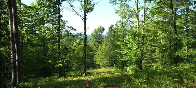 83xxx Lot 13 Ashwabay Road Bayfield, WI Plot of land Active - Photo 1 of 10. Opens carousel modal
