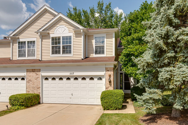 1117 Dickens Avenue NAPERVILLE, IL Townhouse Sold - Photo 1 of 1. Opens carousel modal