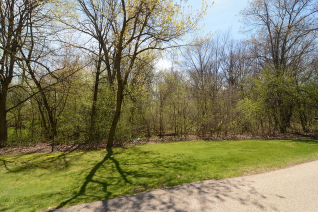 21665 W Boschome Drive Kildeer, IL Plot of land Sold - Photo 1 of 3. Opens carousel modal