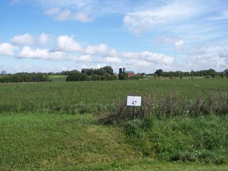 4802 Glacial Trail