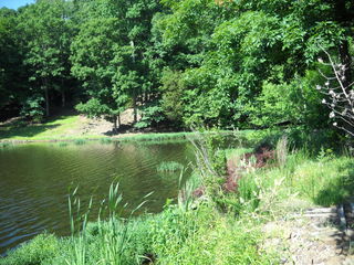 13 Sugar Creek Road