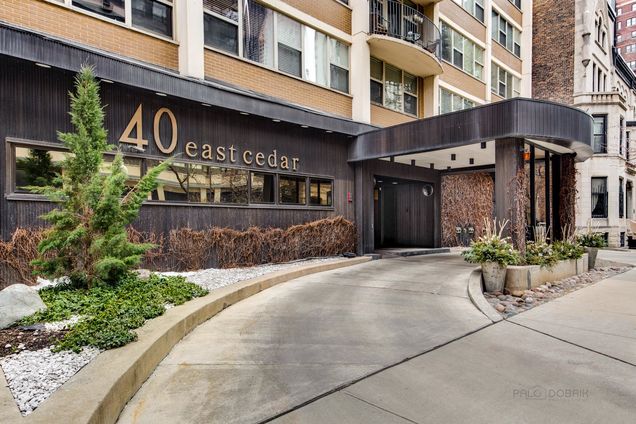 40 E Cedar Street Unit 15D Chicago, IL Condo Sold - Photo 1 of 26. Opens carousel modal