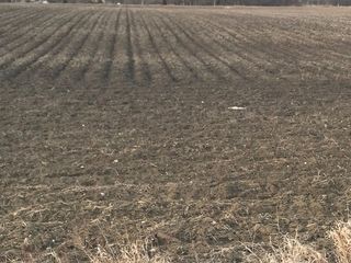 Lot A County Line Road