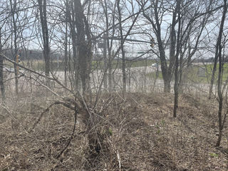 7501 Il Route 31 Highway