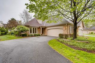 20 Pine Tree Lane