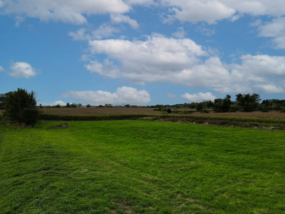 29564 N Garland Road Wauconda, IL Plot of land Active - Photo 2 of 2. Opens carousel modal