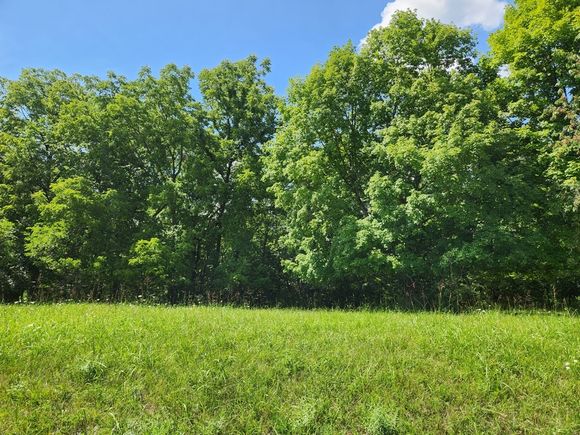 Lot 1073 Greenvalley Court Varna, IL Plot of land Sold - Photo 1 of 26. Opens carousel modal