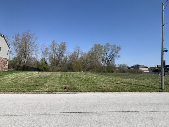 2148 Nichols Drive Lynwood, IL Plot of land Active - Photo 1 of 1. Opens carousel modal