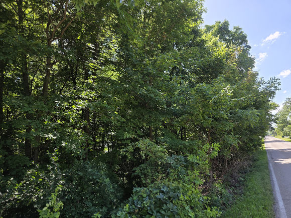 Lot 15 Legion Rd Road Yorkville, IL Plot of land Active - Photo 1 of 15. Opens carousel modal