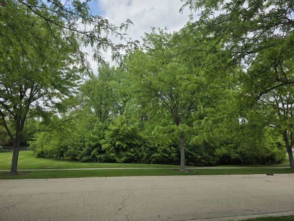 1074 1078 Sante Fe Stre Street Bartlett, IL Plot of land Active - Photo 1 of 5. Opens carousel modal
