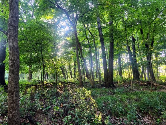 Lot 742 Brookside Drive Varna, IL Plot of land Pending - Photo 1 of 25. Opens carousel modal