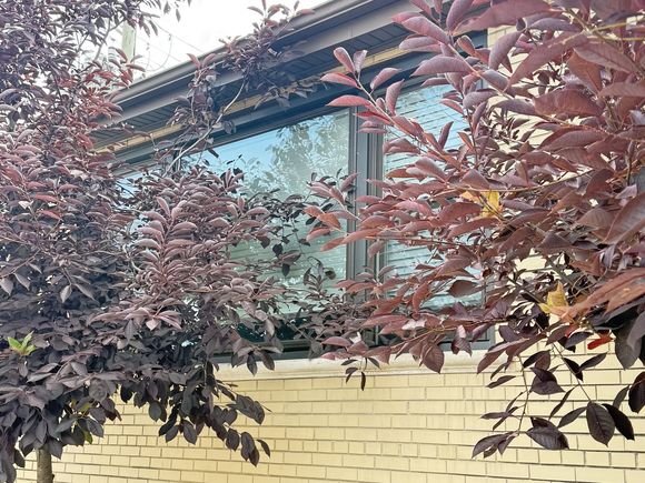 4201 W 55th Street Unit 1 Chicago, IL House Active - Photo 1 of 9. Opens carousel modal