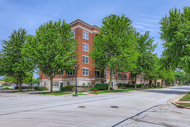 104 N Plum Grove Road Unit 203