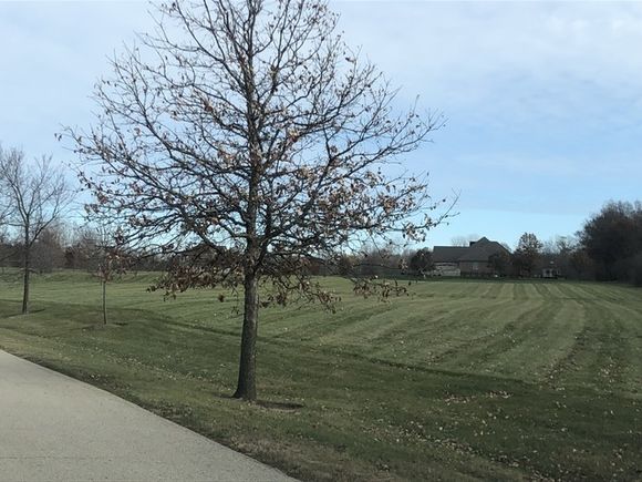 14916 W Concord Court Wadsworth, IL Plot of land Active - Photo 1 of 1. Opens carousel modal