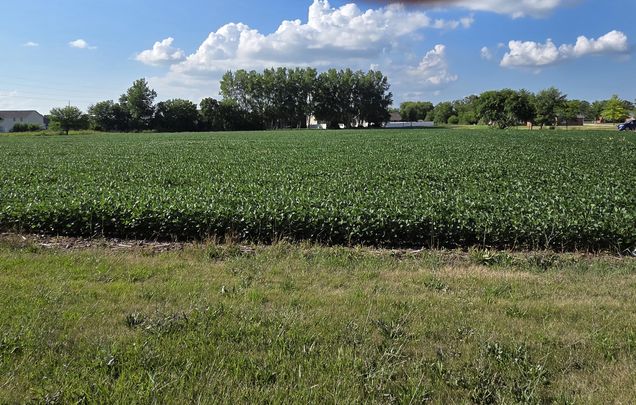 590 W Walnut Street Oglesby, IL Plot of land Active - Photo 1 of 1. Opens carousel modal