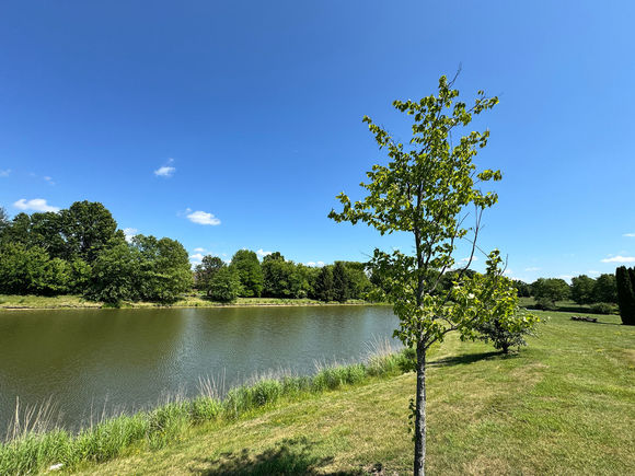 24 Autumn Court St. Charles, IL Plot of land Active - Photo 1 of 9. Opens carousel modal
