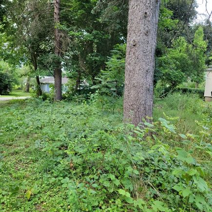 25570 W High Street Wauconda, IL Plot of land Active - Photo 2 of 9. Opens carousel modal