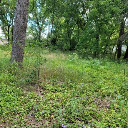 25570 W High Street Wauconda, IL Plot of land Active - Photo 5 of 9. Opens carousel modal