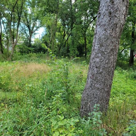 25570 W High Street Wauconda, IL Plot of land Active - Photo 6 of 9. Opens carousel modal