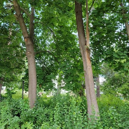 25570 W High Street Wauconda, IL Plot of land Active - Photo 7 of 9. Opens carousel modal