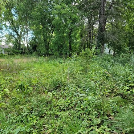 25570 W High Street Wauconda, IL Plot of land Active - Photo 9 of 9. Opens carousel modal