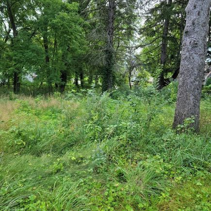 25578 W High Street W Wauconda, IL Plot of land Active - Photo 3 of 9. Opens carousel modal