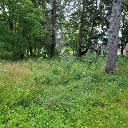 25578 W High Street W Wauconda, IL Plot of land Active - Photo 4 of 9. Opens carousel modal