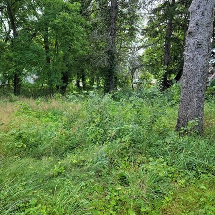 25586 W High Street W Wauconda, IL Plot of land Active - Photo 2 of 9. Opens carousel modal