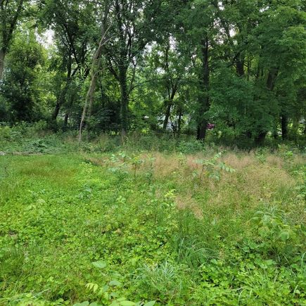 25586 W High Street W Wauconda, IL Plot of land Active - Photo 5 of 9. Opens carousel modal