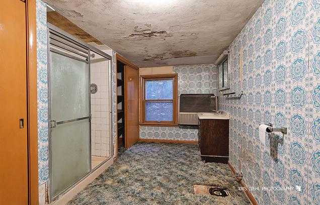149 W Church Street Wauconda, IL House Sold - Photo 11 of 23. Opens carousel modal