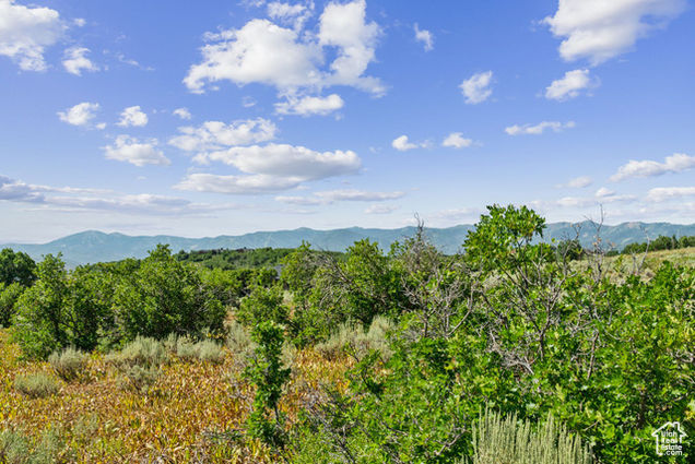 505 W Deer Hill Rd 44 Park City - 143 2099635 21 1752867070 636x435