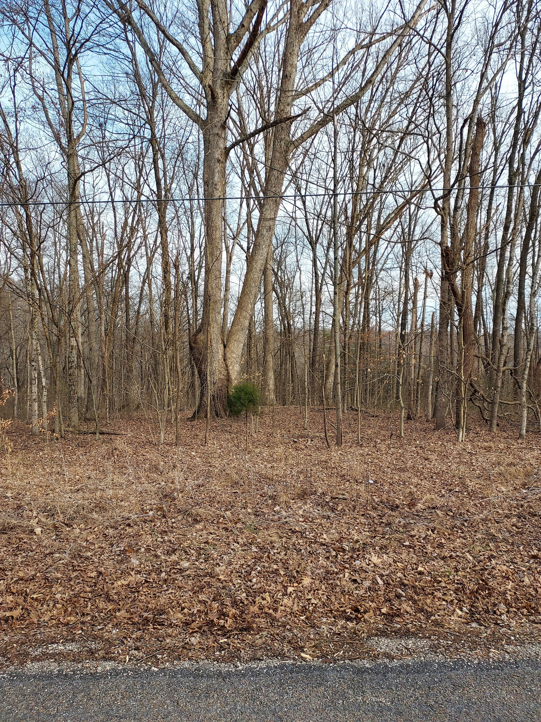 0 County Rd 675