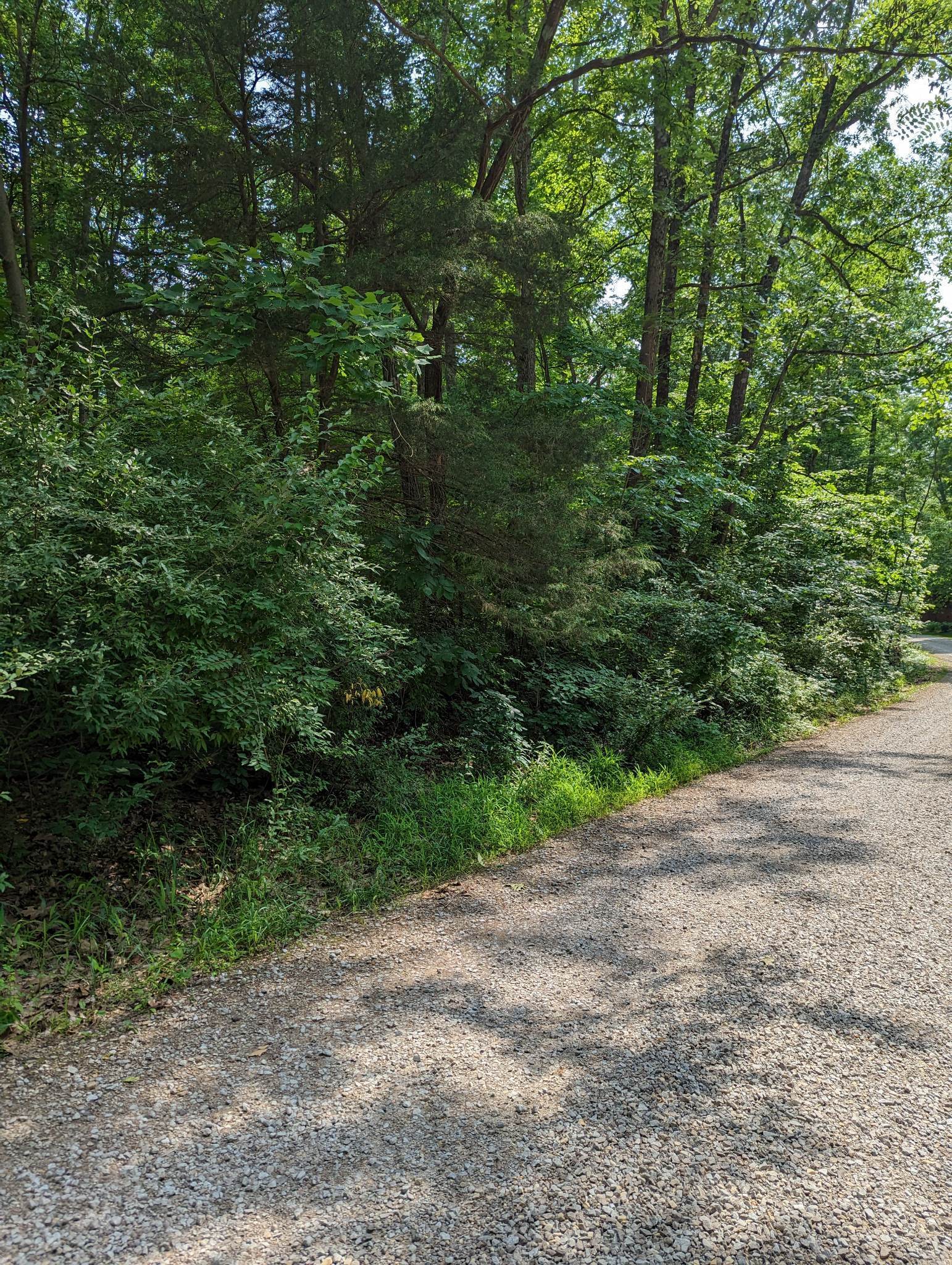 0 Catalpa Dr  