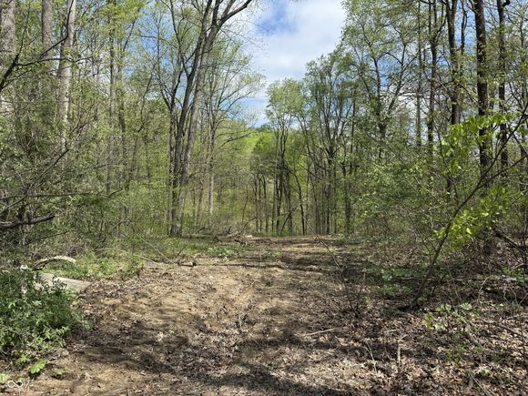 9660 Old Haggard Road Morgantown, IN Plot of land Active - Photo 1 of 20. Opens carousel modal