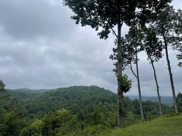 916 Aurora Lane Ranger, GA Plot of land Active - Photo 1 of 35. Opens carousel modal