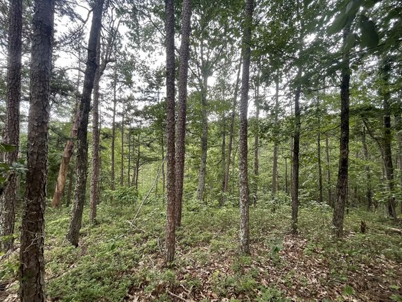 1314 Arrow Court Ranger, GA Plot of land Active - Photo 1 of 13. Opens carousel modal