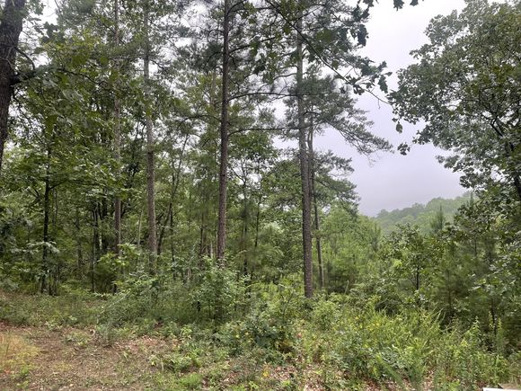 425 Marble Court Ranger, GA Plot of land Active - Photo 1 of 12. Opens carousel modal