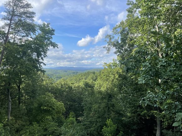 1071 Mayfield Lane NE Ranger, GA Plot of land Active - Photo 1 of 12. Opens carousel modal