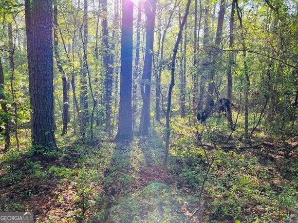2701 Westminster Lane NW Conyers, GA Plot of land Sold - Photo 1 of 1. Opens carousel modal