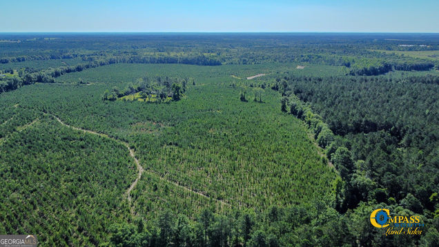 0 Marvis Chapman Road Ideal, GA Land Active - Photo 1 of 8. Opens carousel modal