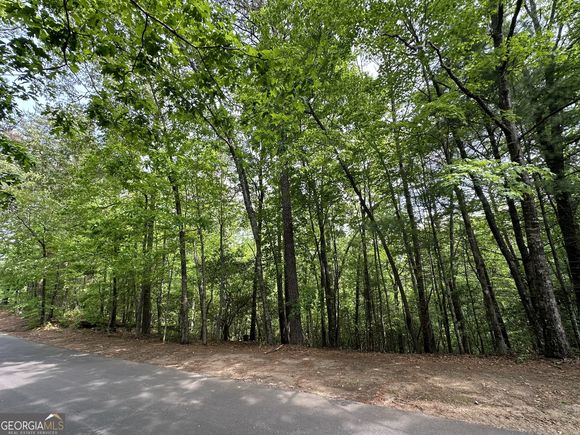 Lot 1 Wilfar Strasse Helen, GA Plot of land Sold - Photo 1 of 1. Opens carousel modal
