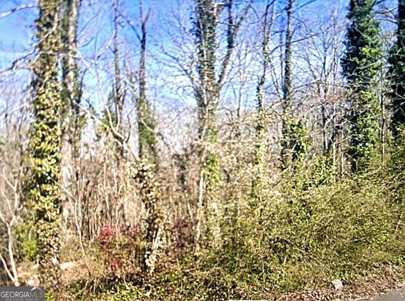 384 Ferndale Drive SW Mableton, GA Plot of land Sold - Photo 1 of 1. Opens carousel modal