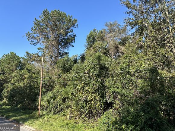 1208 Abner Street Waycross, GA Plot of land Active - Photo 1 of 11. Opens carousel modal