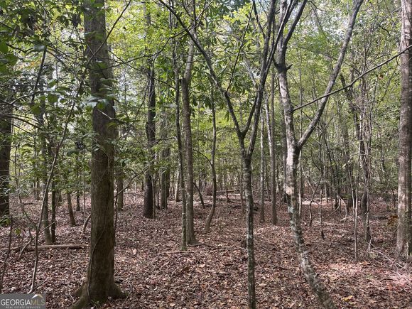 0 Club Road Toomsboro, GA Plot of land Sold - Photo 1 of 1. Opens carousel modal