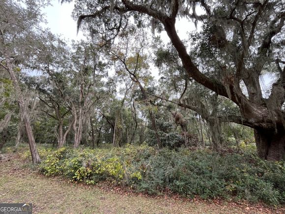0 Carnochan Darien, GA Plot of land Active - Photo 1 of 20. Opens carousel modal