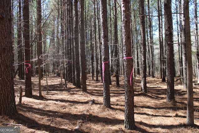 0 Jackson Gin Road Harrison, GA Land Active - Photo 1 of 23. Opens carousel modal