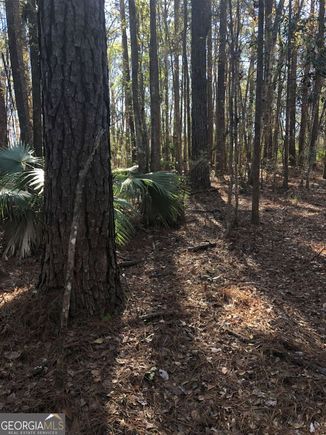 0 Timber Landing Road Brunswick, GA Plot of land Sold - Photo 1 of 1. Opens carousel modal