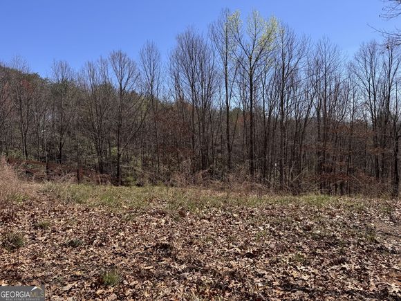 0 Huckleberry Hill Drive Helen, GA Plot of land Sold - Photo 1 of 1. Opens carousel modal